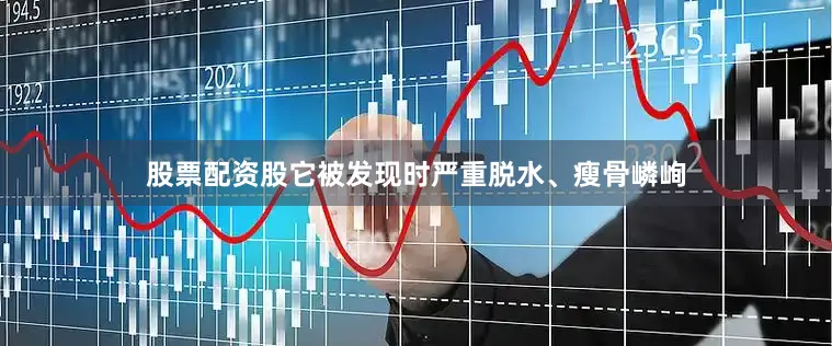 股票配资股它被发现时严重脱水、瘦骨嶙峋