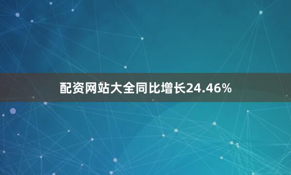 配资网站大全同比增长24.46%