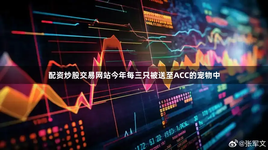 配资炒股交易网站今年每三只被送至ACC的宠物中