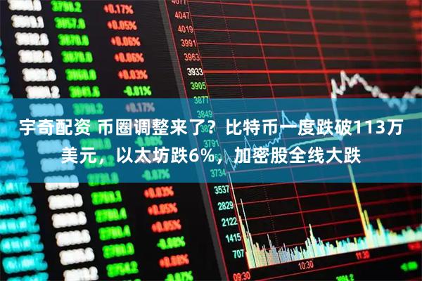 宇奇配资 币圈调整来了？比特币一度跌破113万美元，以太坊跌6%，加密股全线大跌