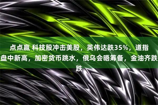点点赢 科技股冲击美股，英伟达跌35%，道指盘中新高，加密货币跳水，俄乌会晤筹备，金油齐跌