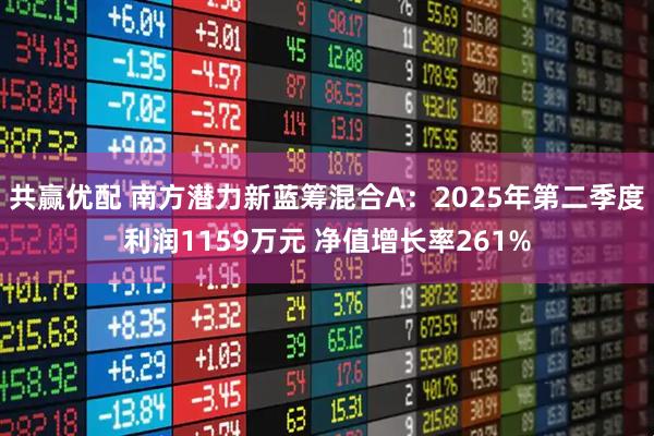 共赢优配 南方潜力新蓝筹混合A：2025年第二季度利润1159万元 净值增长率261%